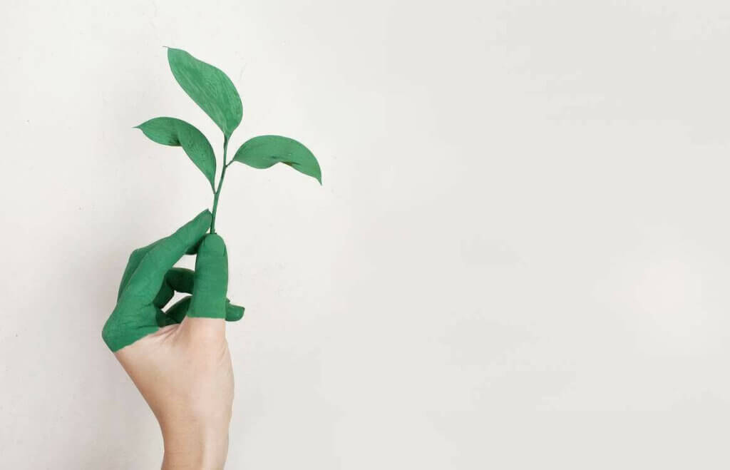 Grüne Hand hält eine Pflanze